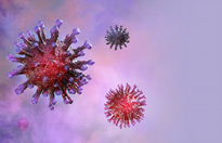 Coronavirus Coronavirus