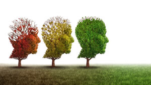 © wabeno - Fotolia.com © freshidea- Fotolia.com